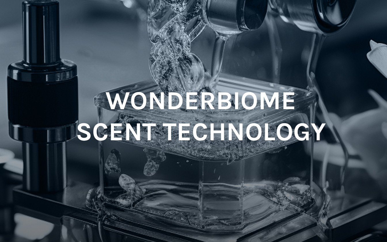 WB_SCENT_DESKTOP1